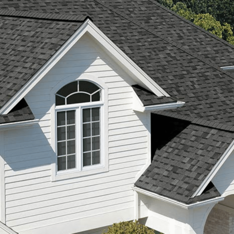 roof cleaning